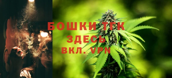 МДПВ Горняк