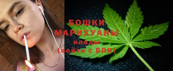 МДПВ Горняк