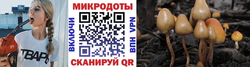 Галлюциногенные грибы GOLDEN TEACHER  купить наркотик  Томилино 