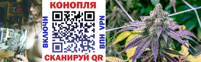 где купить наркоту  Томилино  Бошки марихуана VHQ 